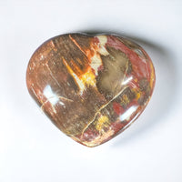 Petrified Wood Heart