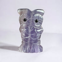 Fluorite Owl