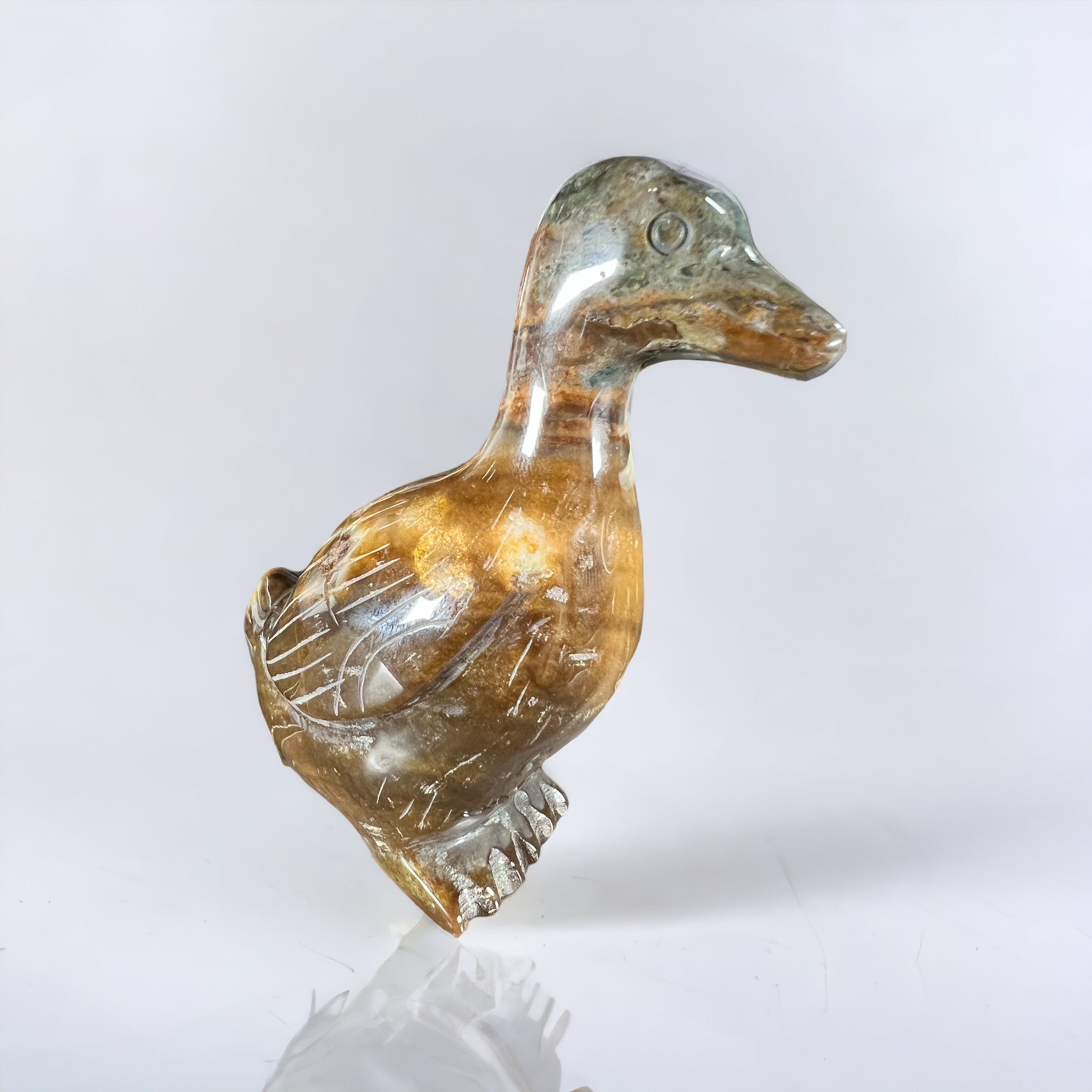 Ocean Jasper Duck