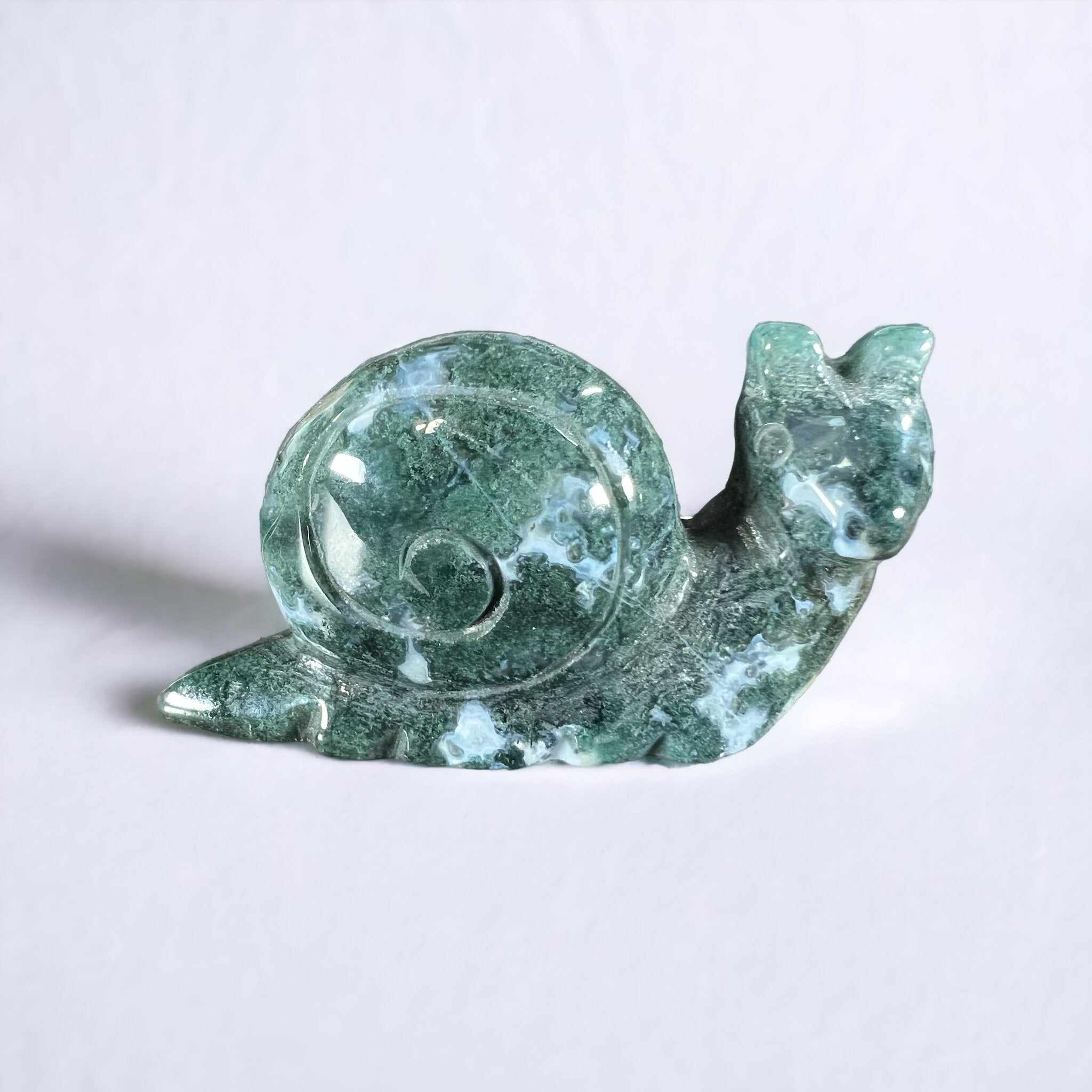 Moss Agate Snail