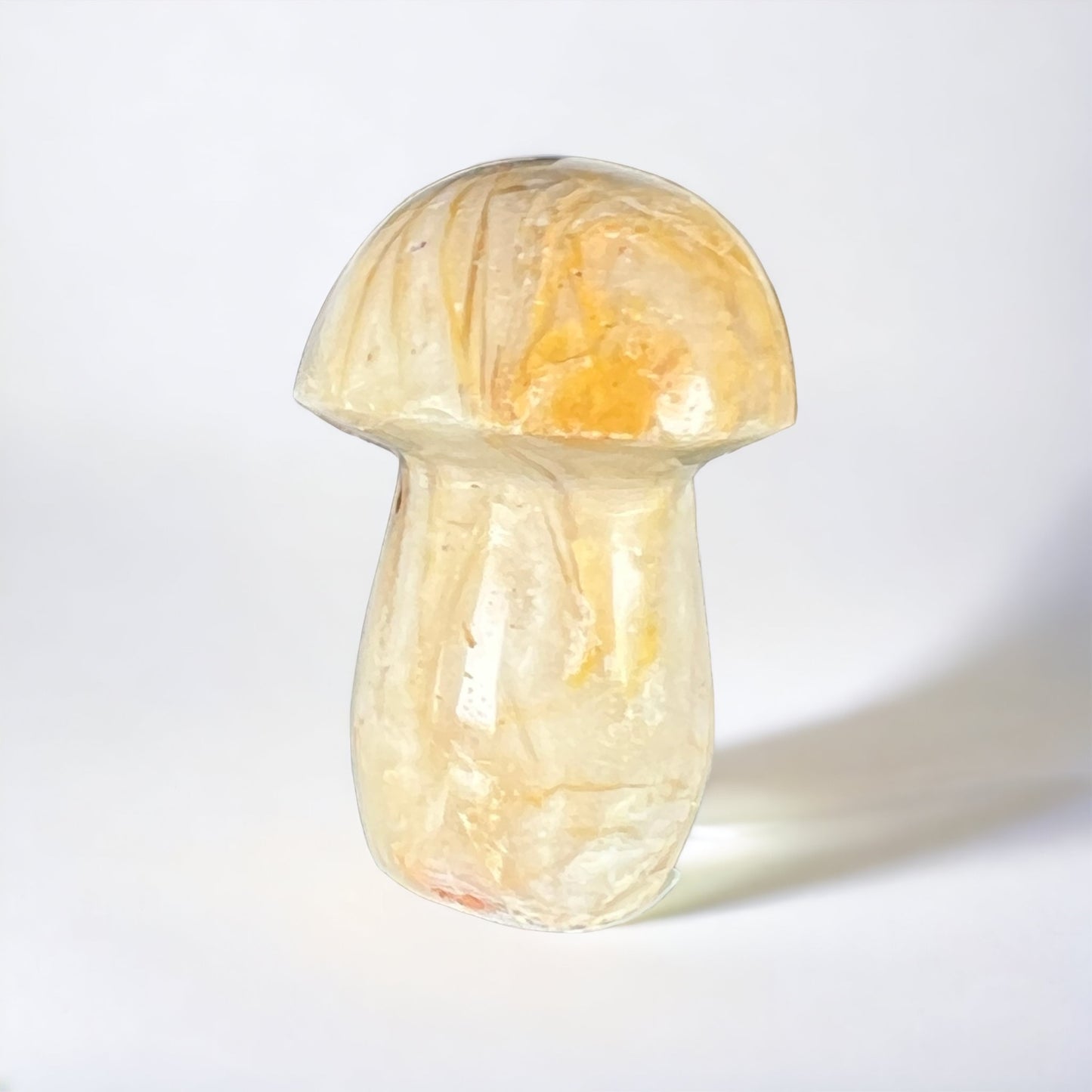 Petrified Wood Mushroom