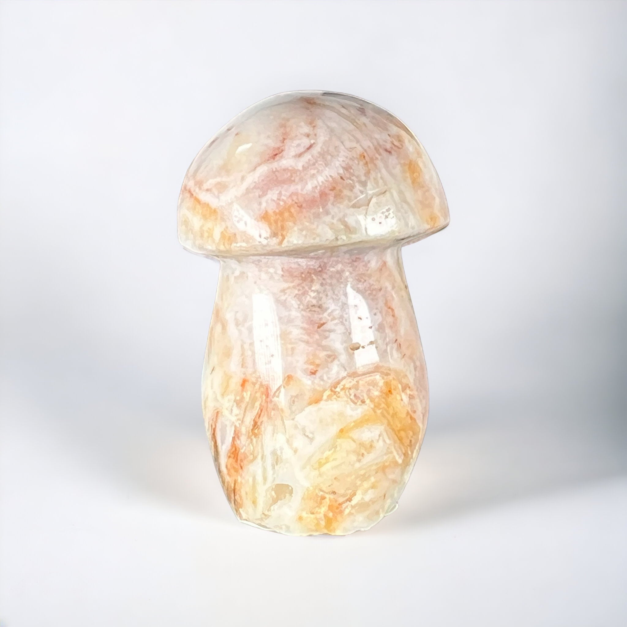 Petrified Wood Mushroom