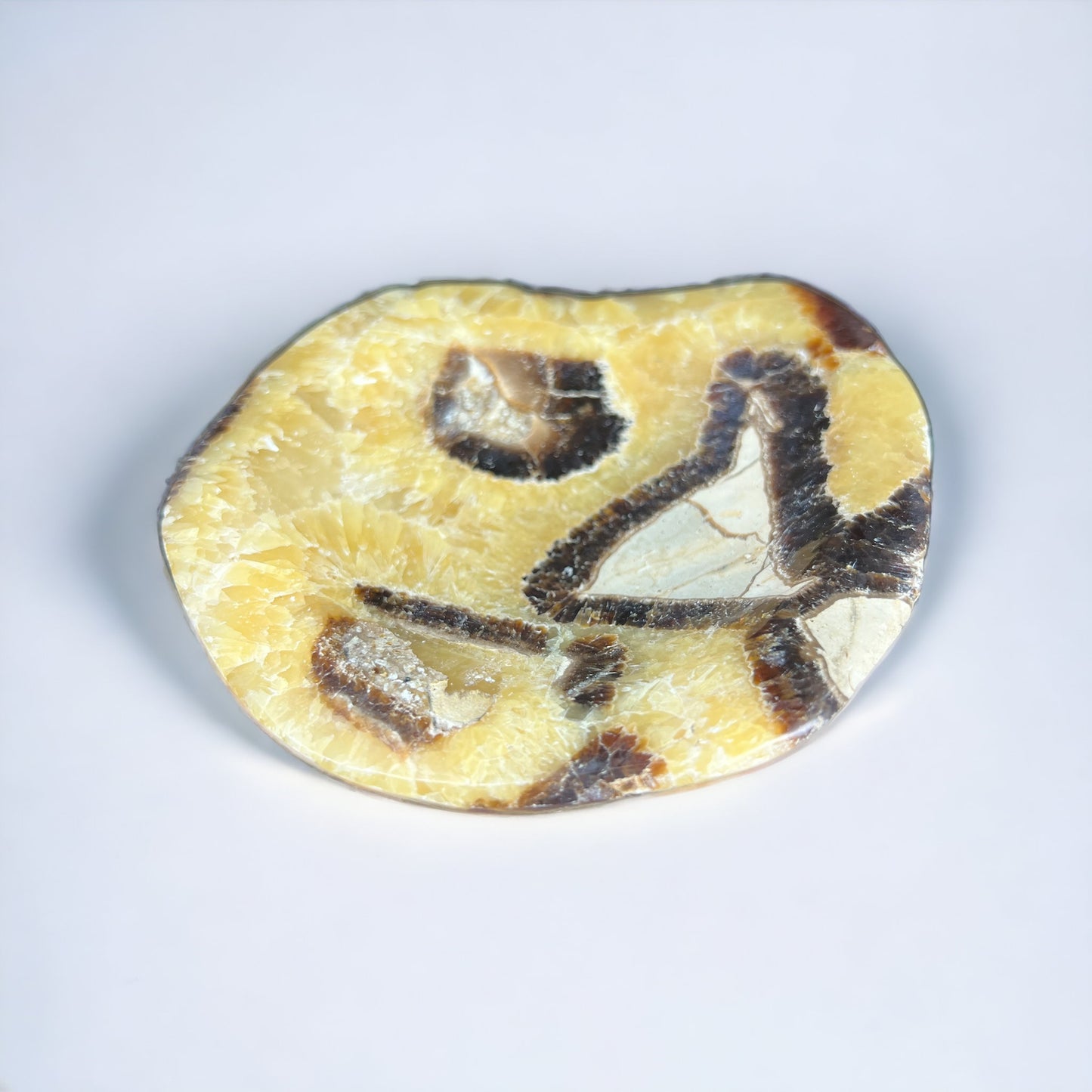 Septarian Bowl