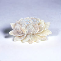 Moonstone Lotus