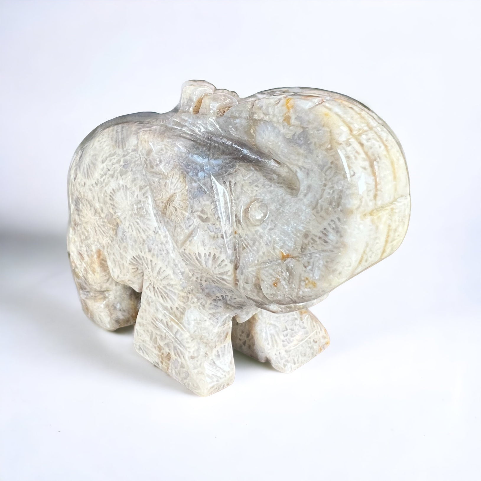 Agatized Coral Elephant