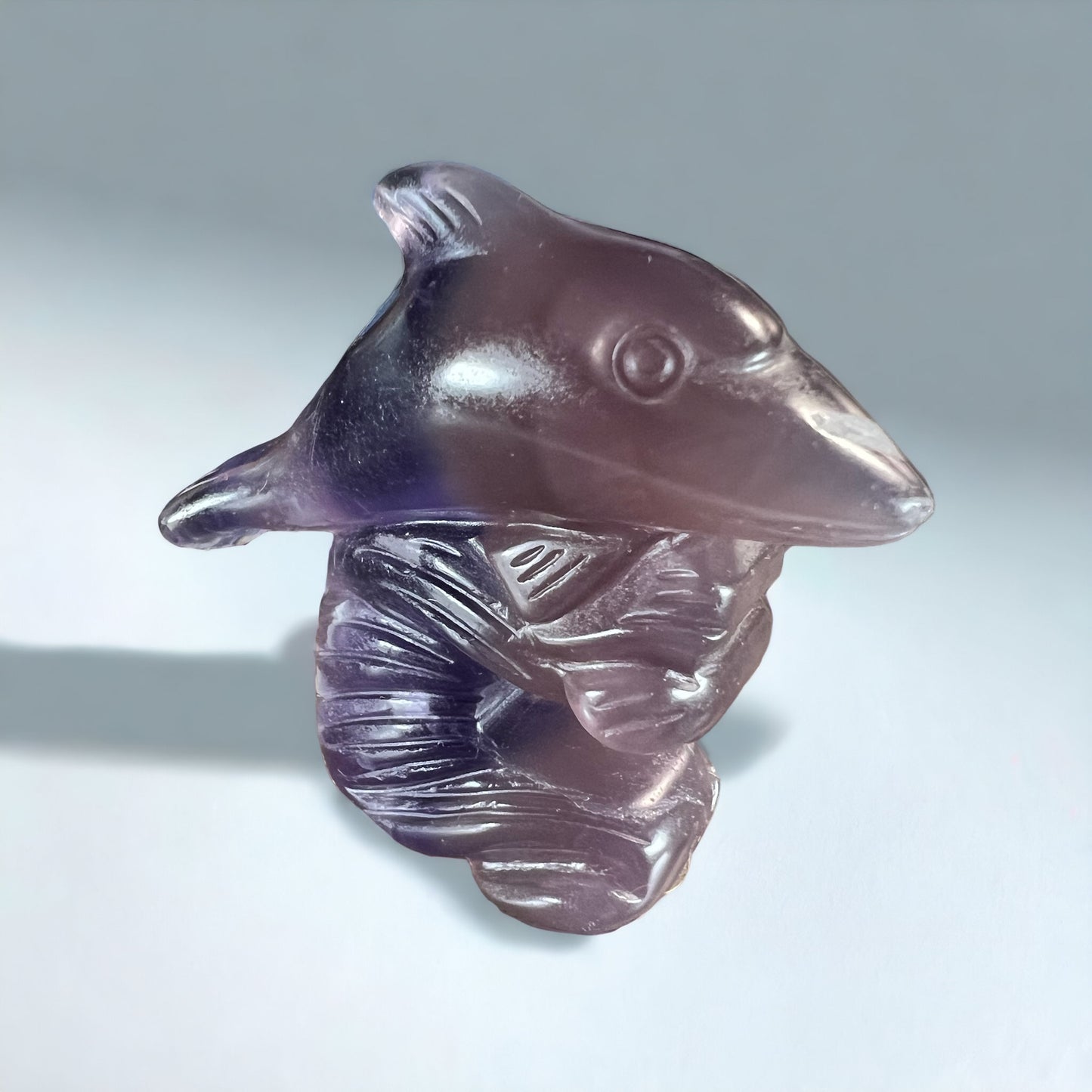 Fluorite Dolphin