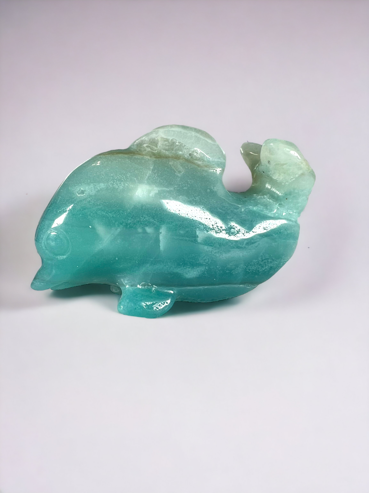 Caribbean Calcite Dolphin