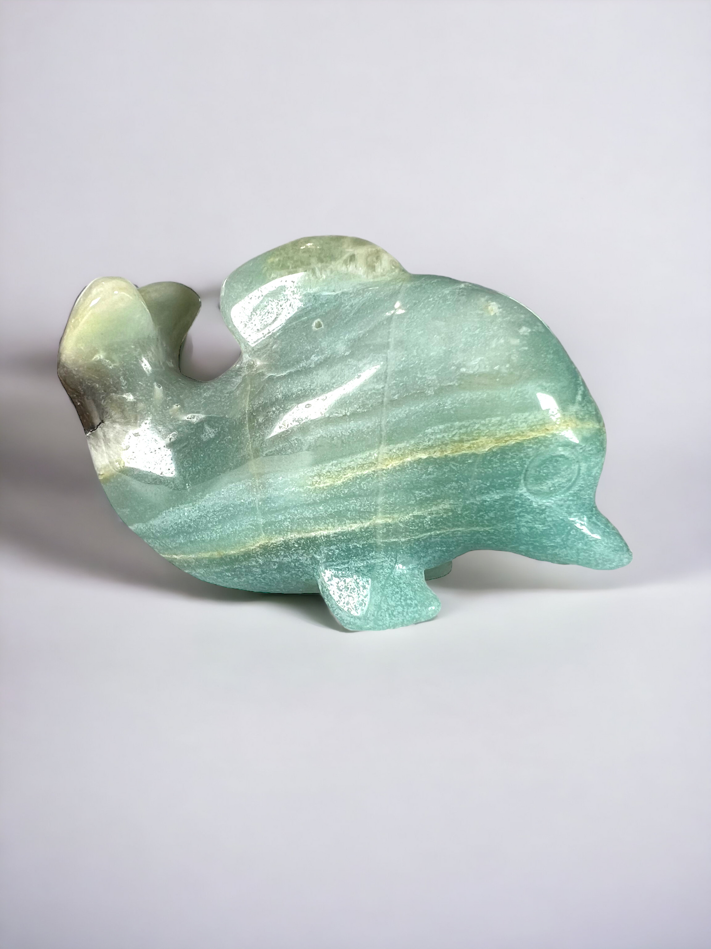 Caribbean Calcite Dolphin