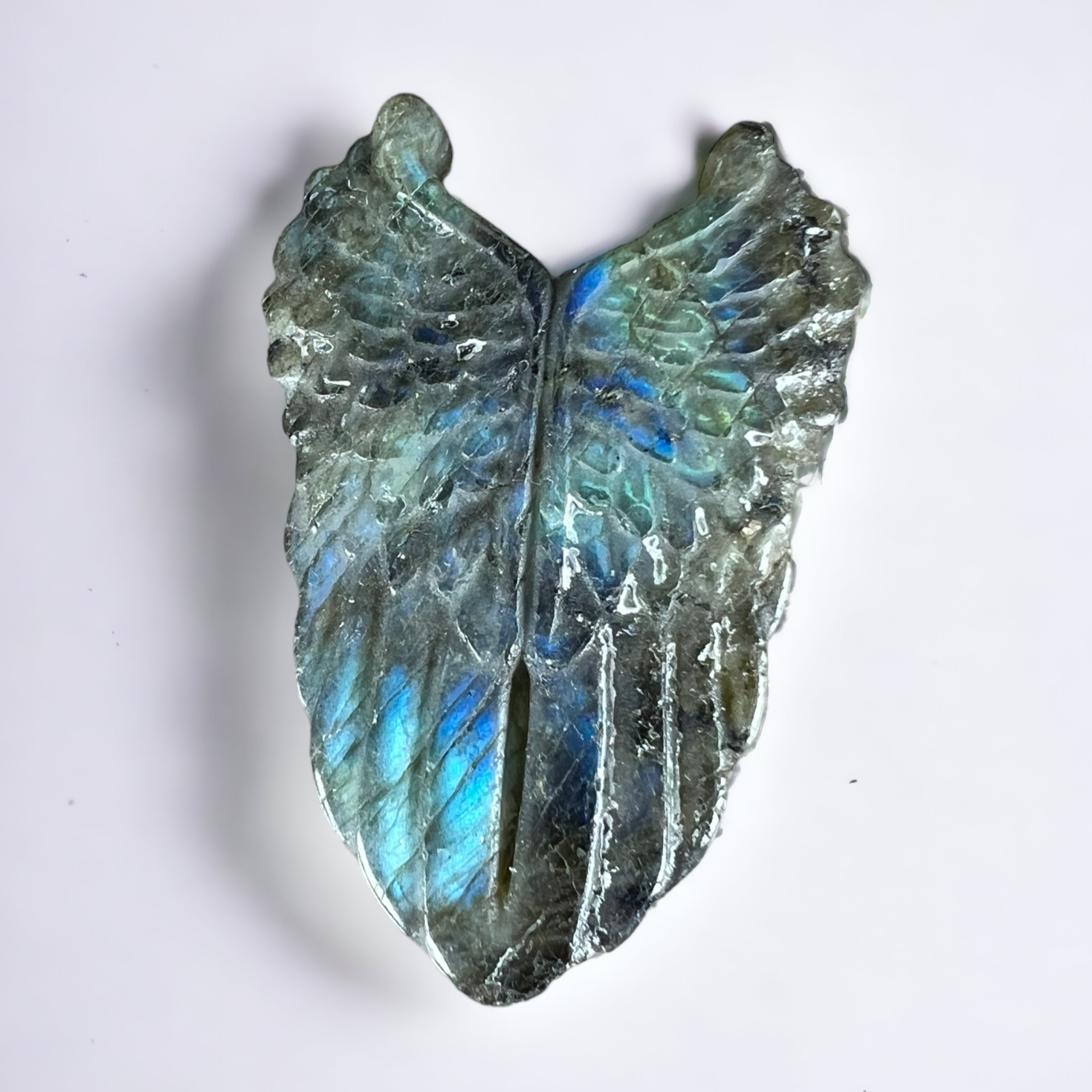 Small Labradorite Angel Wings