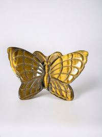 Tigers Eye Butterfly