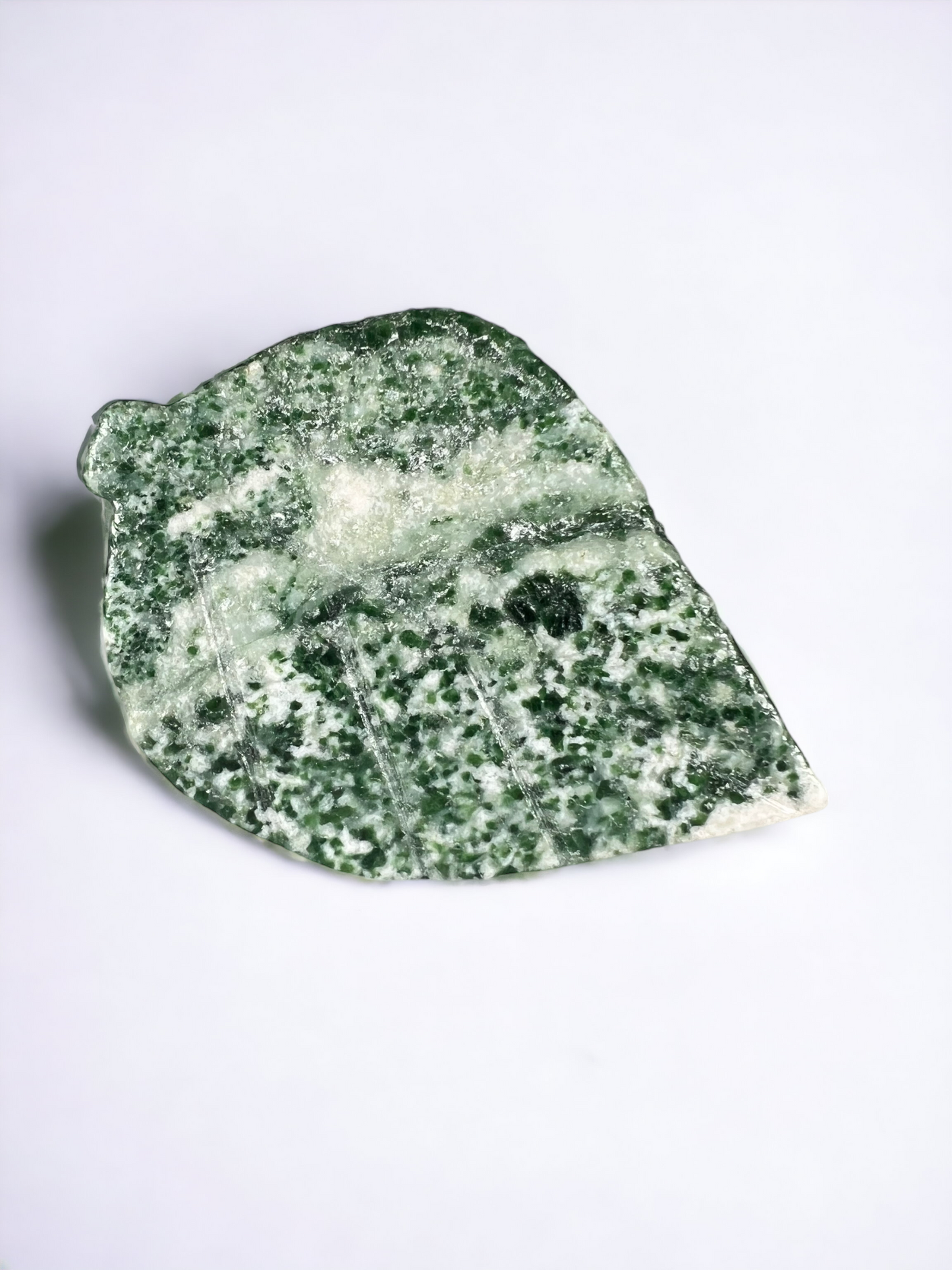 Tree Agate Leaf