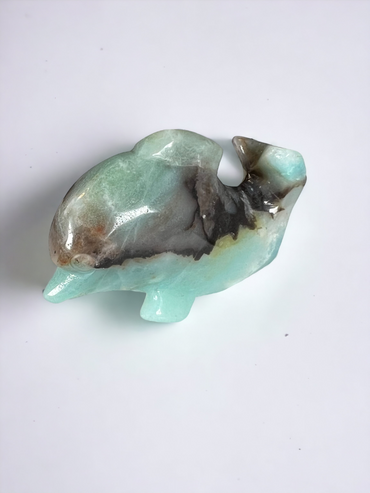 Caribbean Calcite Dolphin