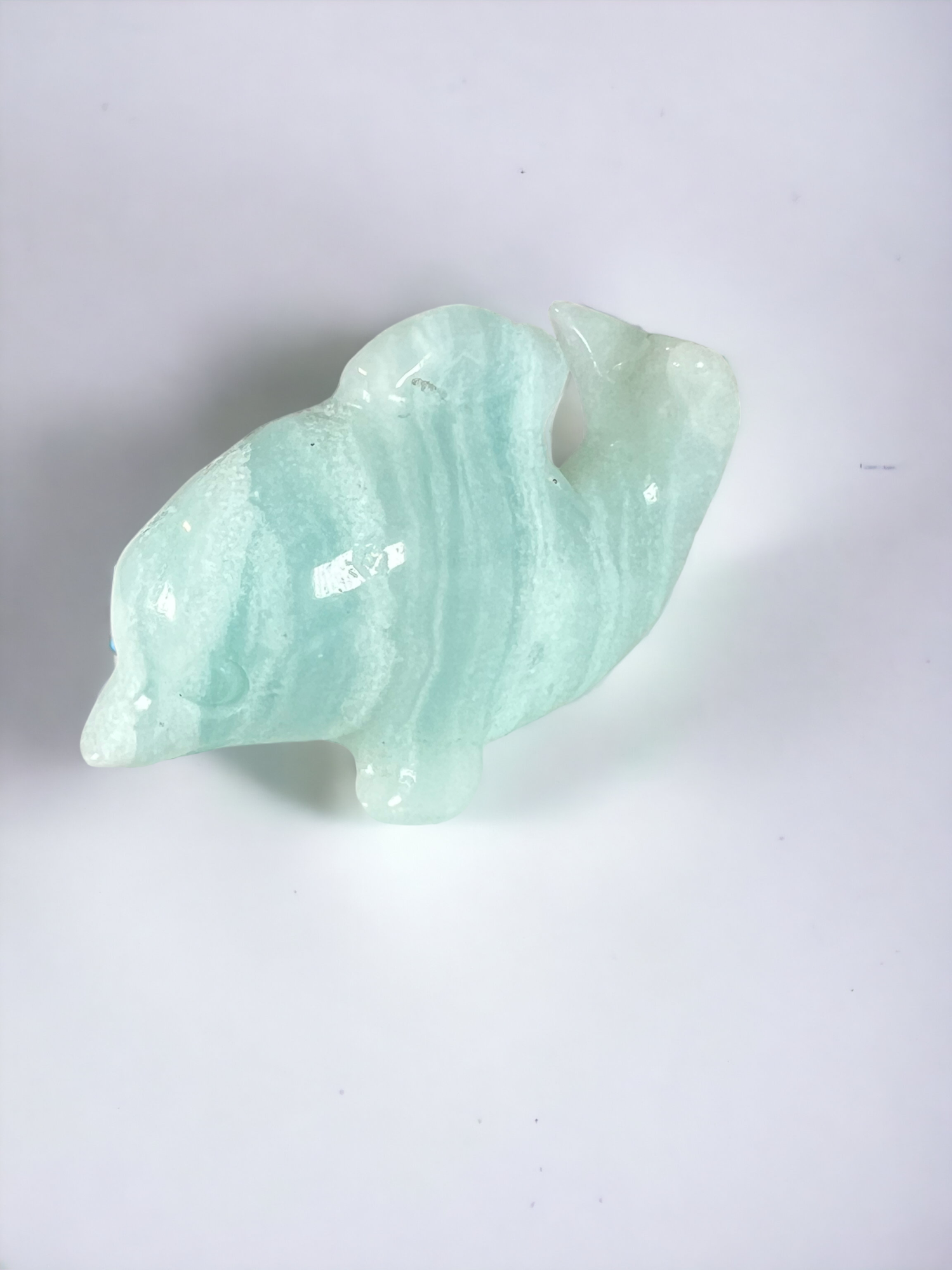 Caribbean Calcite Dolphin