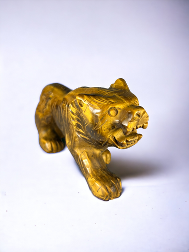 Tigers Eye Lion