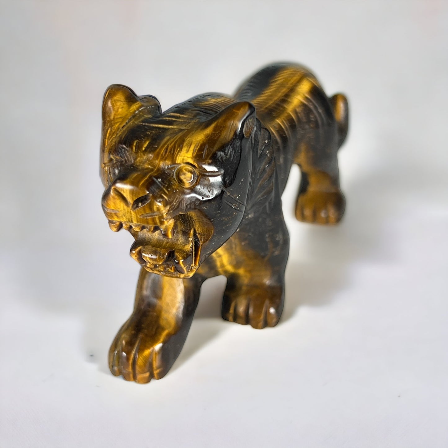 Tigers Eye Lion