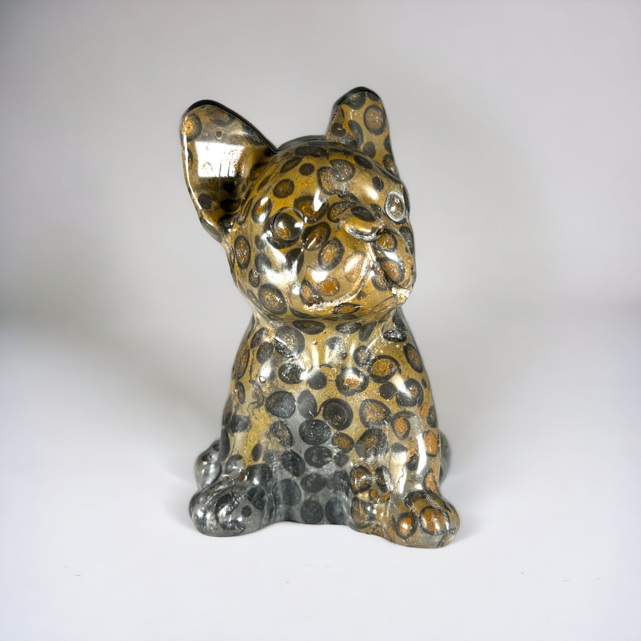 Leopard skin Jasper Dog